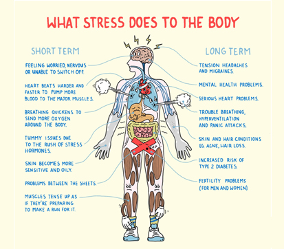 human stress